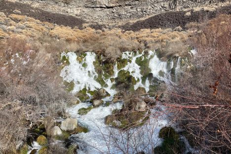 Niagara Springs