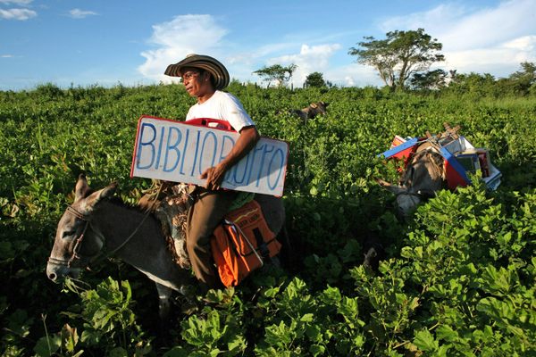 Burros Alfa and Beto, seen here with Luis Soriano in 2008, have been helping the teacher deliver books for more than 20 years.