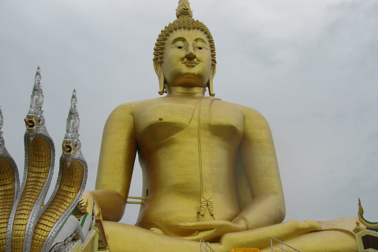 Big buddha company cheap