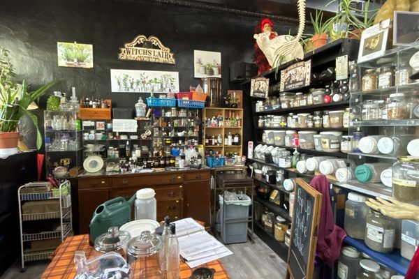 Apothecary of over 500 herbs and oils