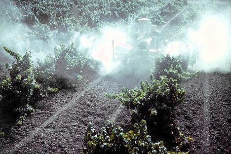A farmer spraying pesticide on his crops. 