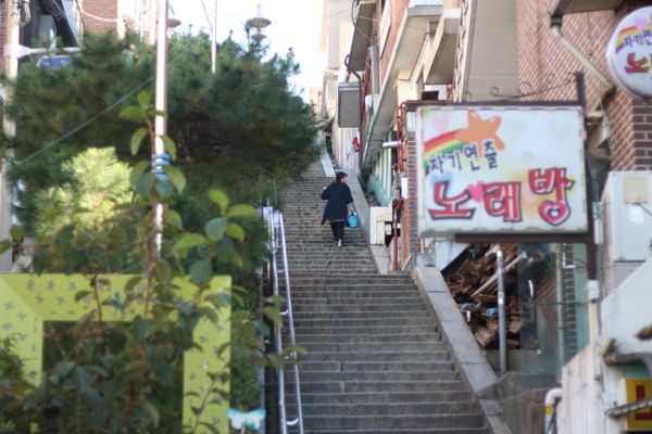 The stairway is tucked away between residential homes and a mass of trees.