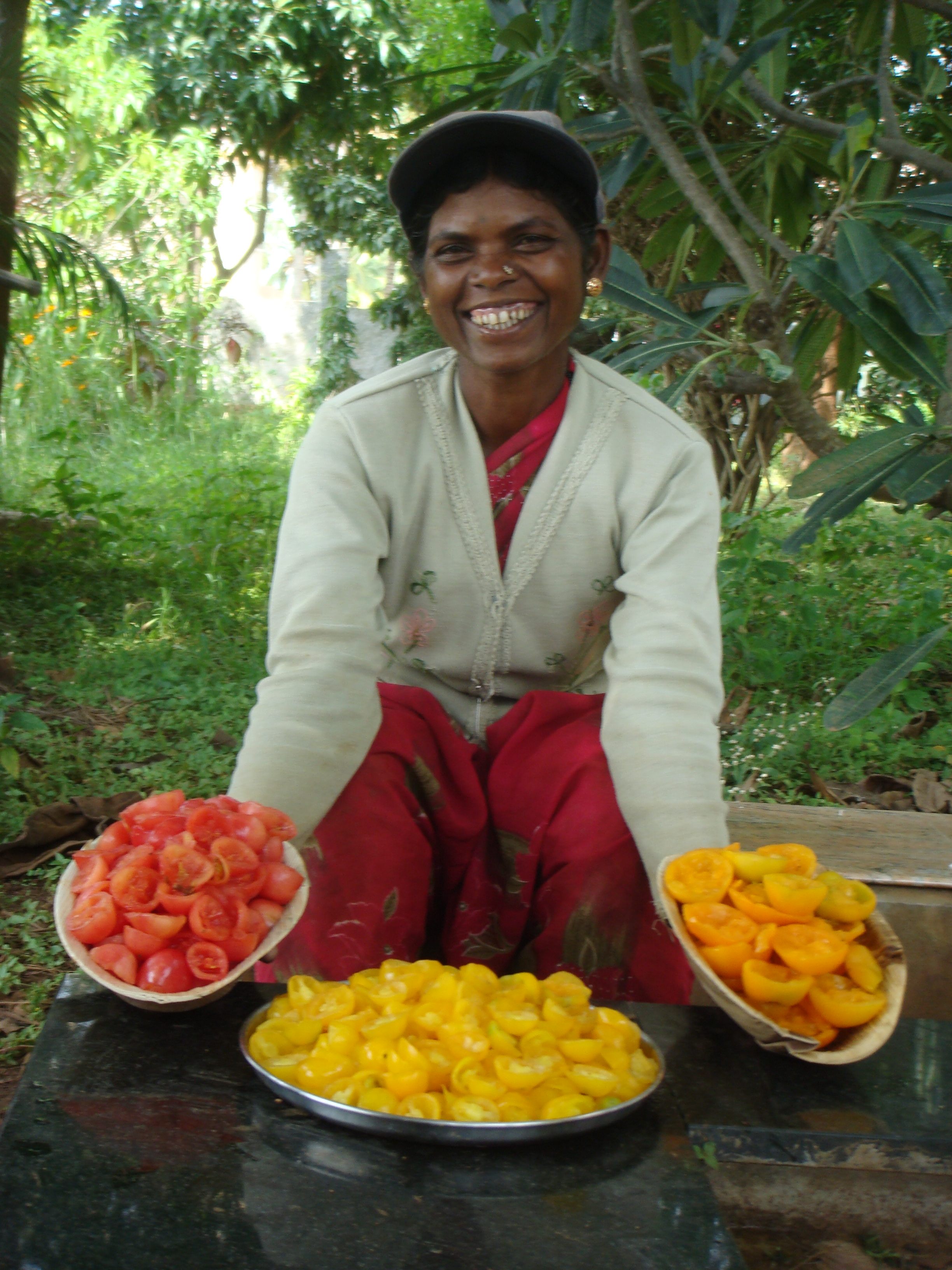 Sharada of Annadana shows off her tomato harvest. Tomatoes originated in the Americas, but South Asian farmers have adapted hundreds of varieties to their unique climates.