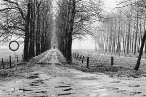 Photo of Netherlands
