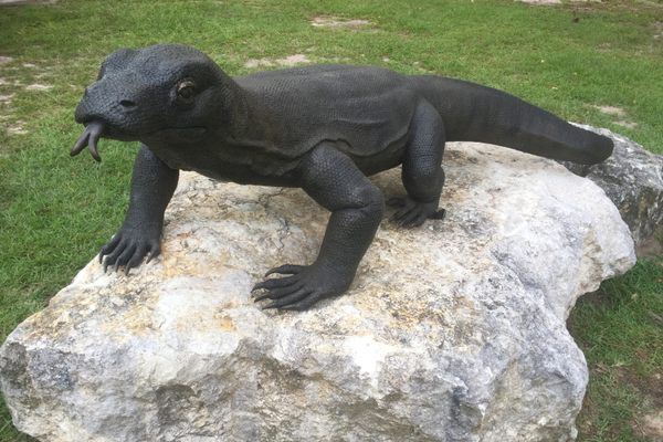 The Komodo dragon statue.
