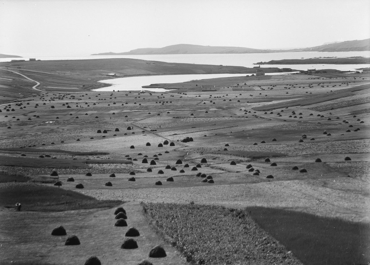 Cunningsburgh, on Mainland, Shetland, with meadows full of "coles" of hay, photographed by J.D Ratter, c. 1920s.