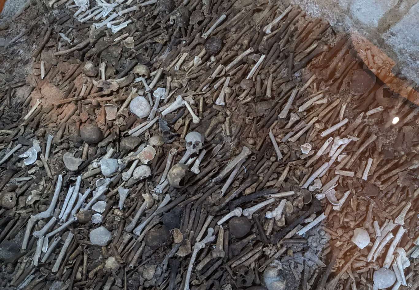View of the Ossuary through the glass floor.