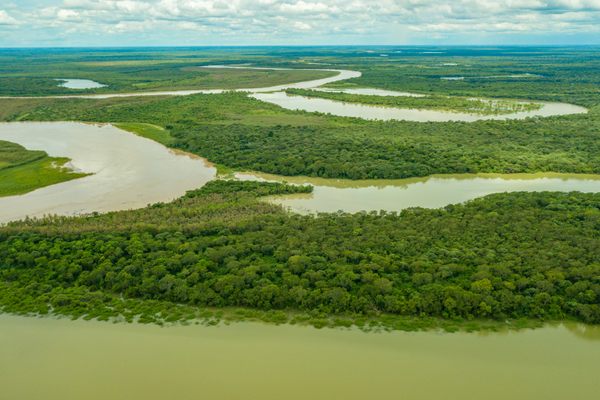 The Teuco River winds through Argentina's Chaco Province, including a portion of El Impenetrable National Park.
