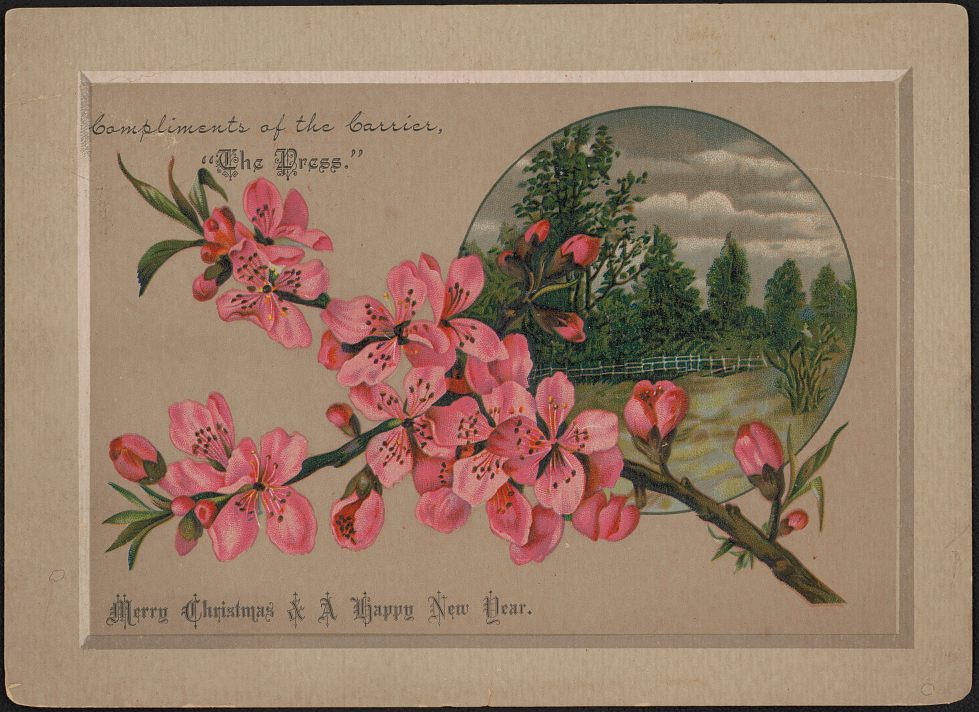 late Victorian holiday card with Christmas and New Year greetings, showing a branch with cherry blossoms