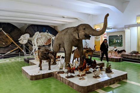 The main exhibit room
