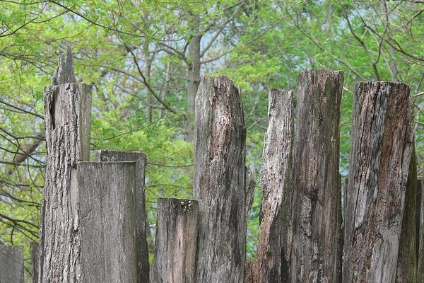 Not the actual fence.