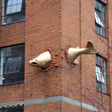 The salmon swimming through the building.