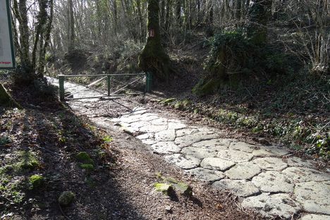 The Via Sacra in the Castelli Romani.