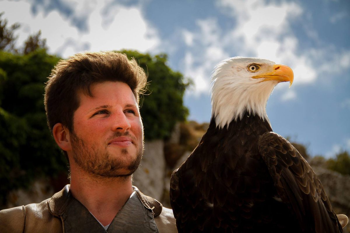 Simon Potier: son, falconer, researcher extraordinaire.