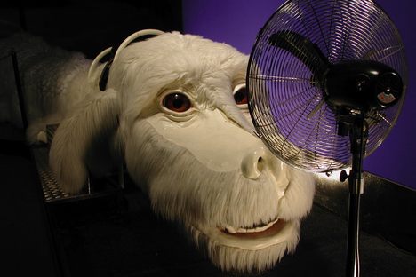 Falcor!