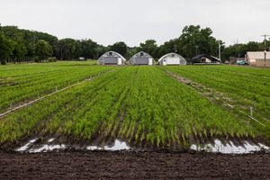 Photo of Nebraska