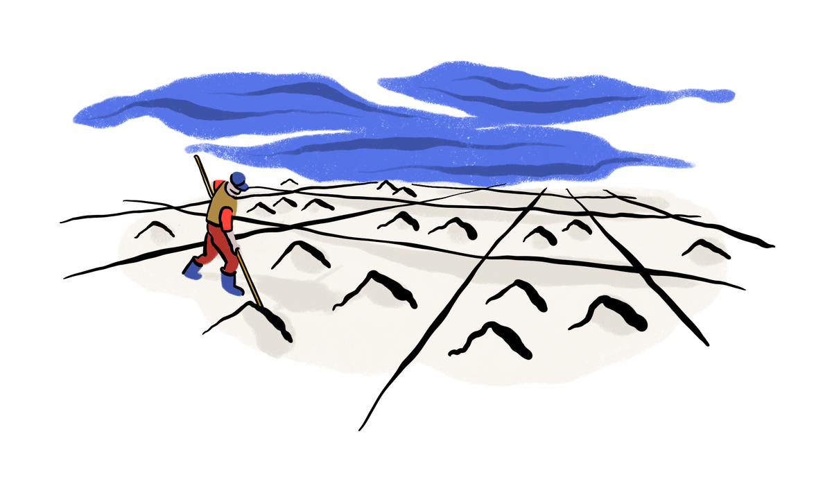 Among other industries, the Venetian republic flourished in the salt trade.
