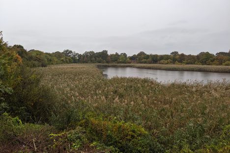 The former reservoir's Basin #2.