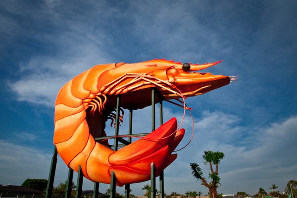 The Big Prawn.