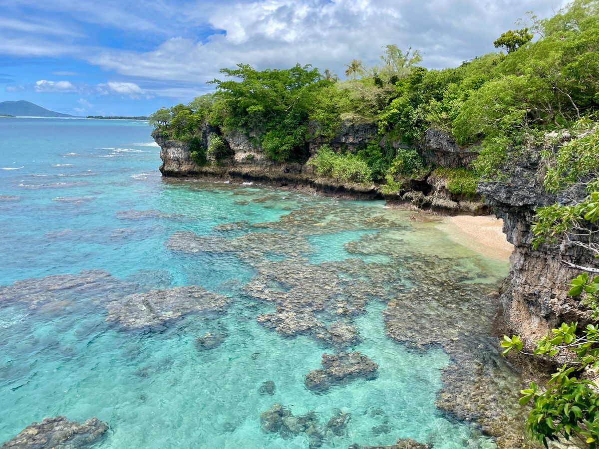 Dugongs are often seen at Top Rock beach on Efate.