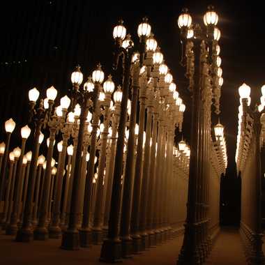 Nighttime in front of LACMA.