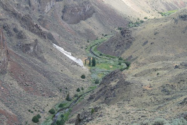 View of Frank Triguero homestead site from the canyon rim.