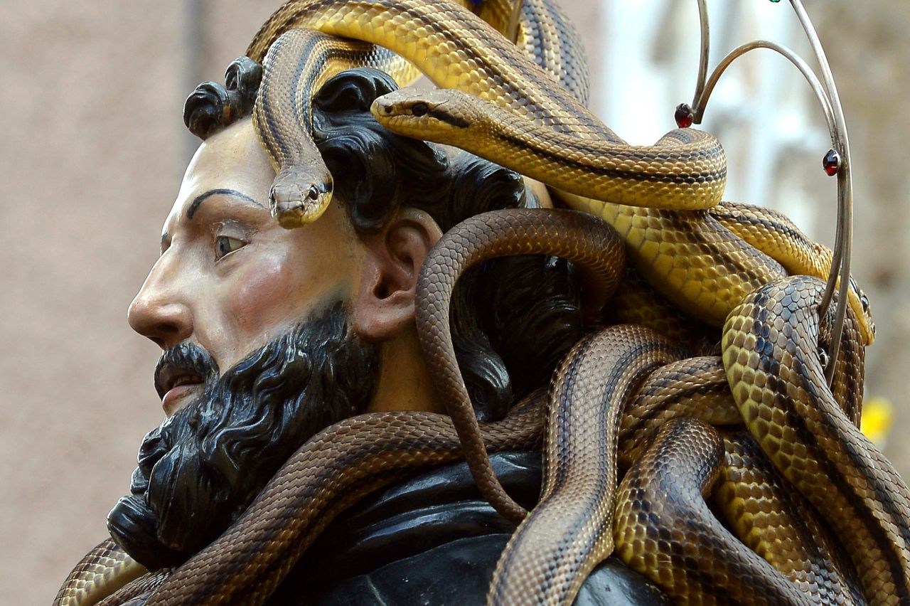 Celebrating snakes living and dead, from festivals to shrines. 
