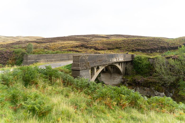 are dogs allowed in the bridge to nowhere