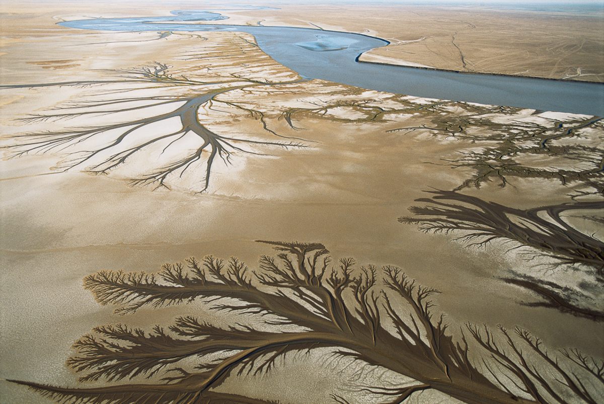 The delta where the Colorado River meets the Gulf of California once supported unique and bountiful ecosystems. As dams and irrigation projects diverted water to American cities and Mexican farms through the 20th century, much of this vanished. Starting in 2014, carefully timed releases of river water and restoration projects have produced the beginnings of an ecological revival, scientists say. Tides with a range of up to 30 feet create a lacework of channels. San Luis Río Colorado, Sonora, Mexico.