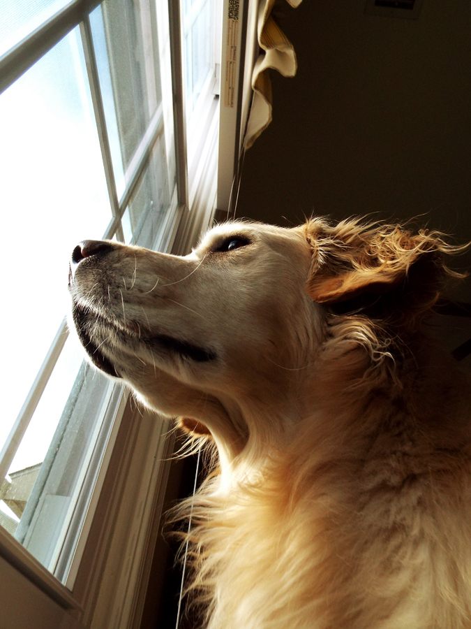 See the familiar from a whole new angle.