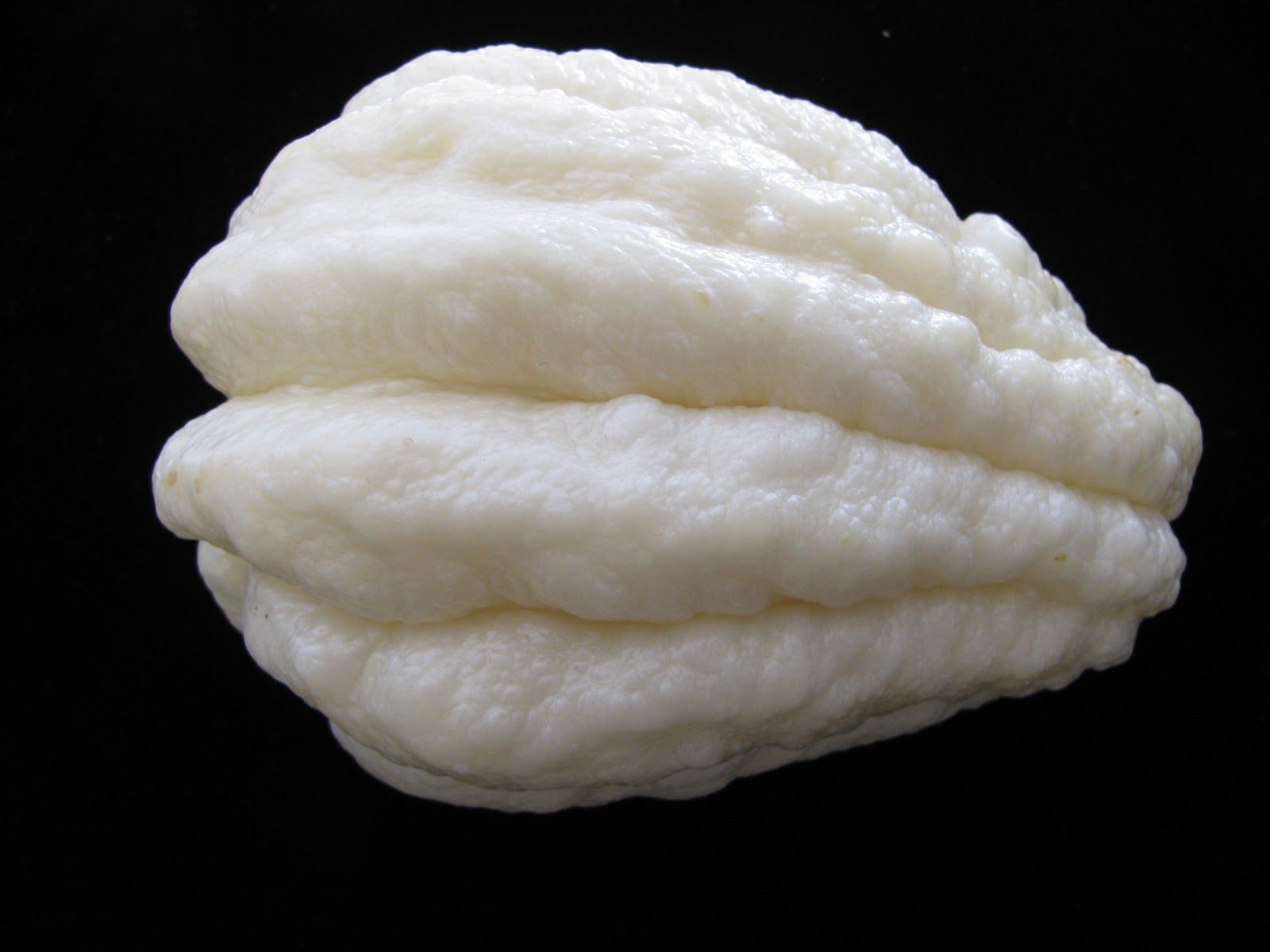 The Ishreal Tibodeaux white mirliton.