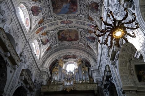 Organ