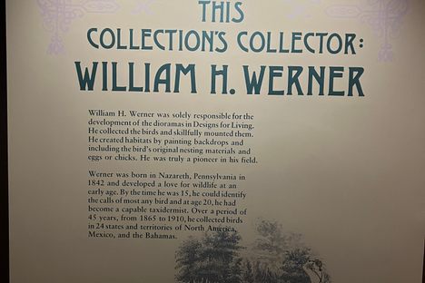 Anniston Museum