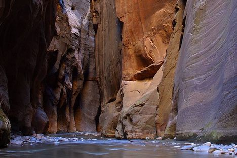 The “Wall Street” section of Zion Narrows in Zion National Park