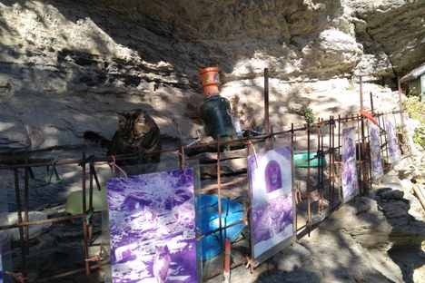 Shrine to the local cat population, including faded laminated pictures of older cats