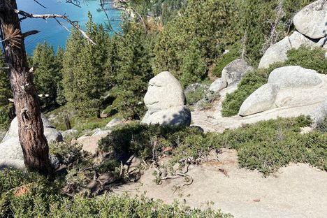 Monkey Rock
