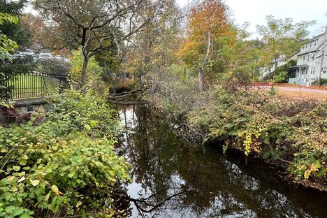 The river runs through it. 
