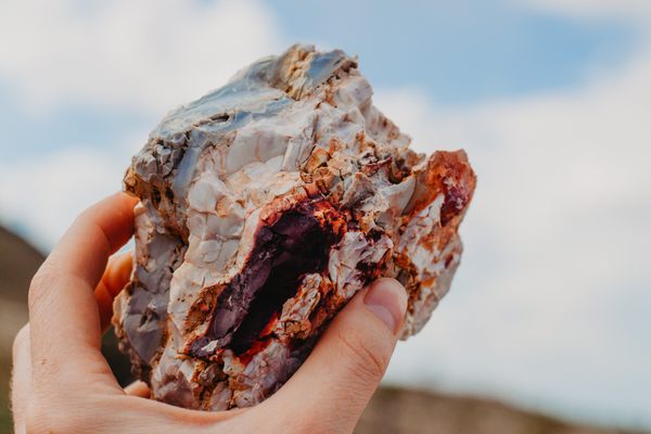 One of the many kinds of gemstones you’ll find at Gemfield, a wonderland for rockhounders within Nevada’s Esmeralda County. 