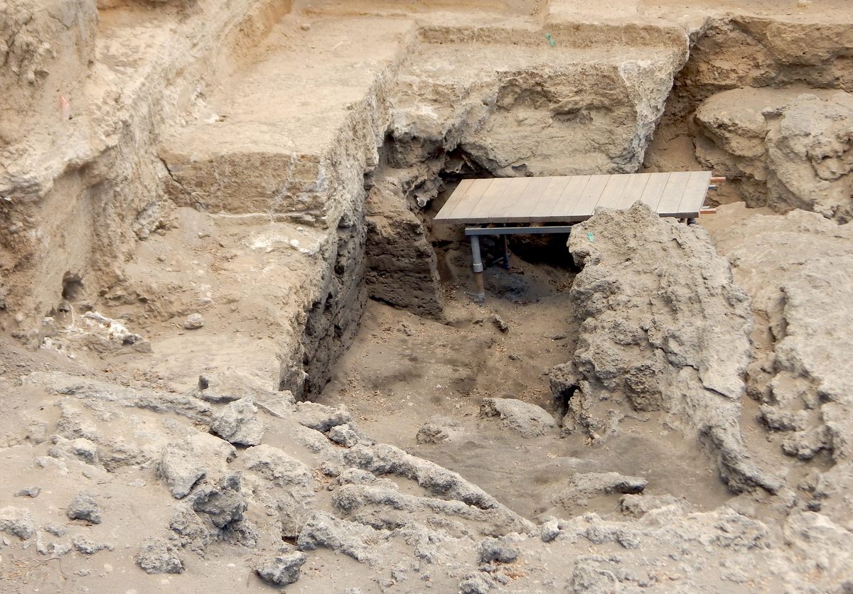 The main excavation area at Dmanisi is smaller than most single-family homes but has produced more than 10,000 bones. Many more remain in situ.