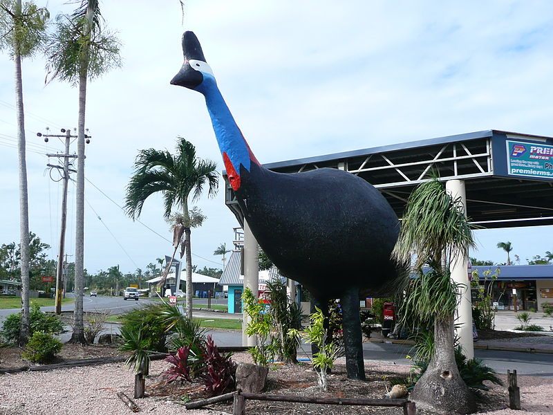 article-image