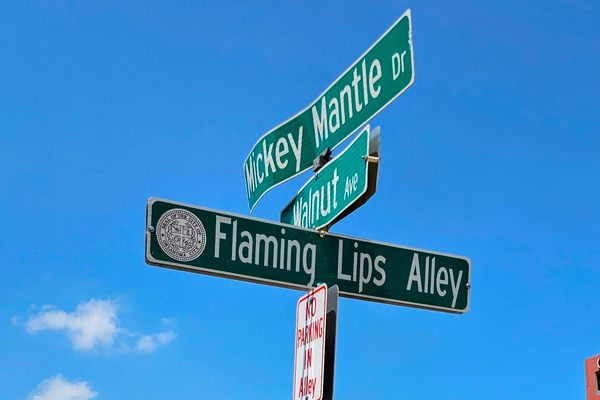 Flaming Lips Alley