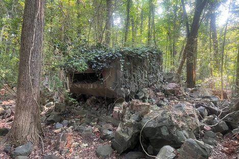 Carhartt Mansion Ruins