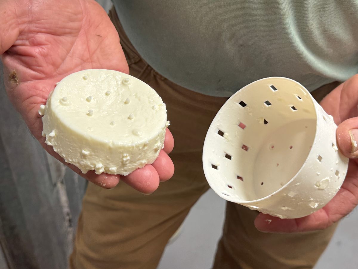 Kenny removes a round of Creole cream cheese from its trademark hole-studded container.