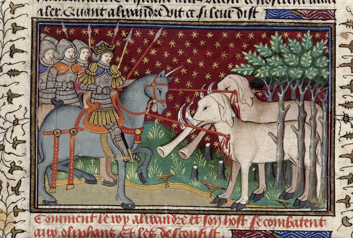 Elephants in a French bestiary.