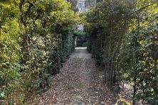Garden path.
