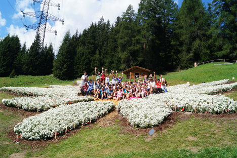 Visitors stand inside the edelweiss arrangement