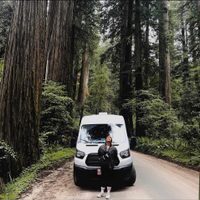 Profile image for otherjackieo