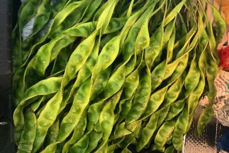 young petai beans