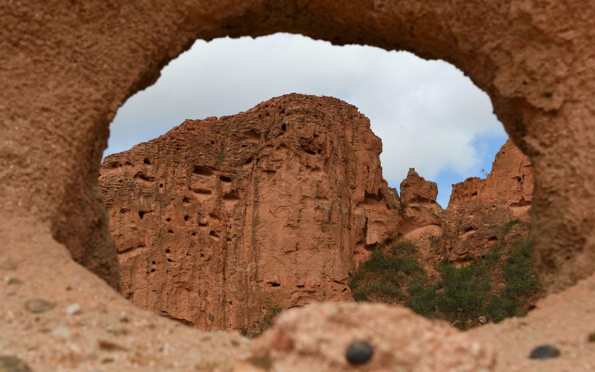 Cavities in the cliff faces make good homes for macaws—and invasive bees.