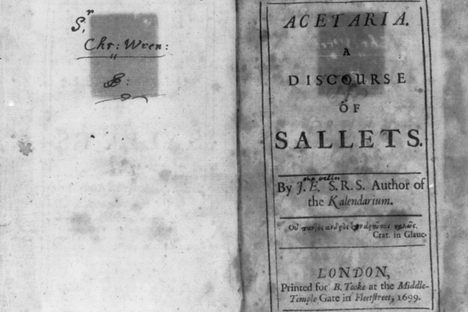 If only we still called them sallets.